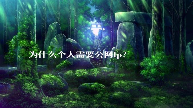 为什么个人需要公网ip？