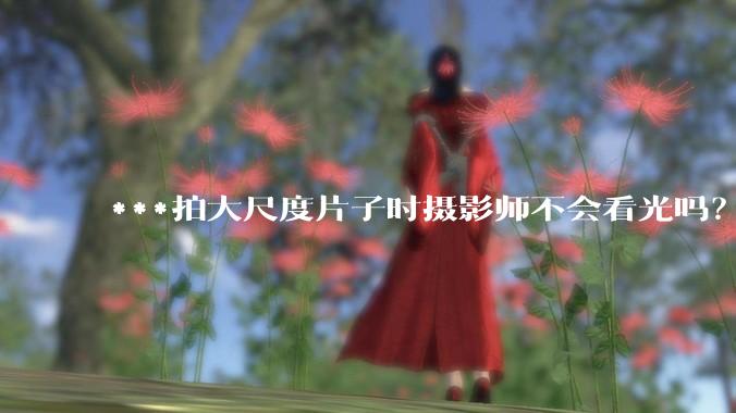 ***拍大尺度片子时摄影师不会看光吗？