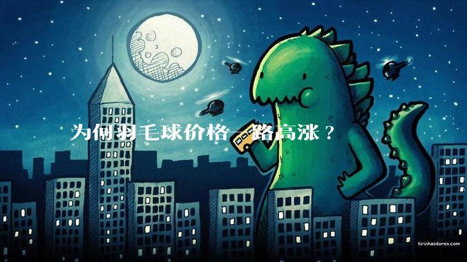 为何羽毛球价格一路高涨?