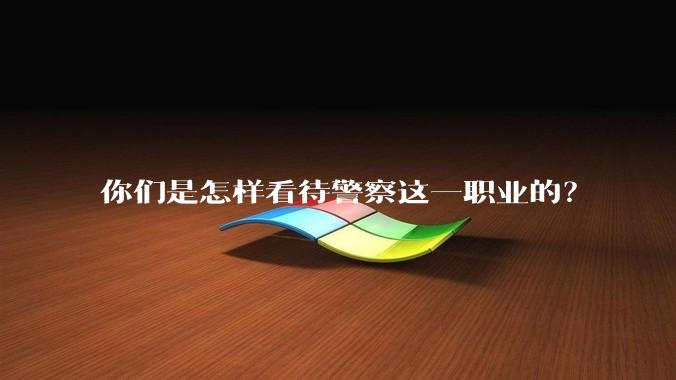 你们是怎样看待警察这一职业的？