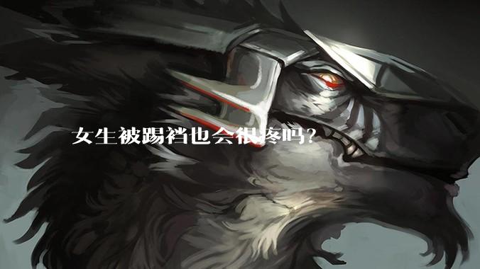 女生被踢裆也会很疼吗？