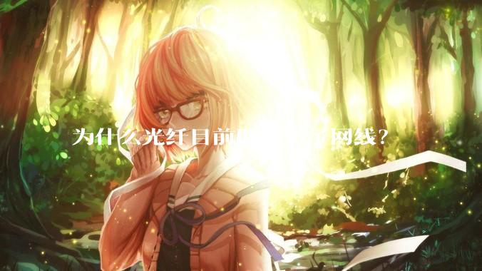 为什么光纤目前取代不了网线？