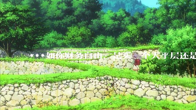 ***如你财务自由，是买一个大平层还是买一个大别墅？