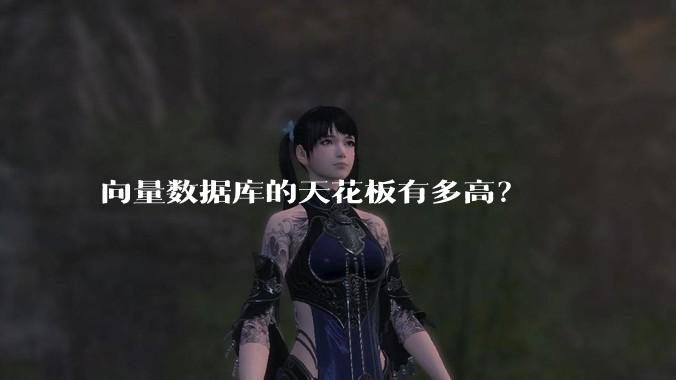 向量数据库的天花板有多高？