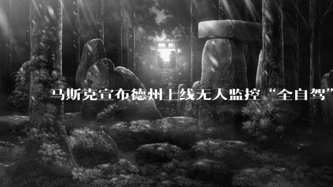 马斯克宣布德州上线无人监控“全自驾”出租车，Optimus机器人明年上市！_特斯拉_服务_奥斯