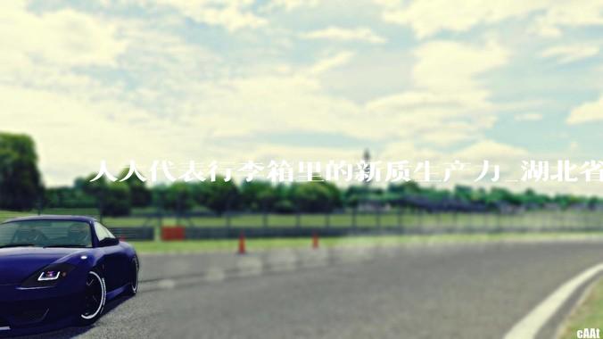 人大代表行李箱里的新质生产力_湖北省两会_实践_黄冈