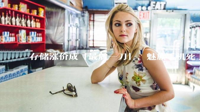 存储涨价成「最后一刀」，魅族手机死于2026_品牌_产品_问题