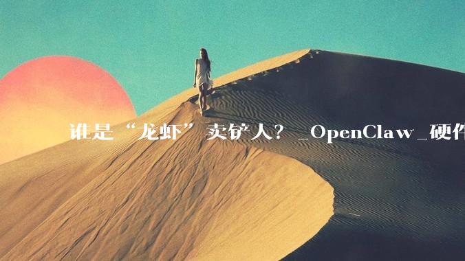 谁是“龙虾”卖铲人？_OpenClaw_硬件_用户