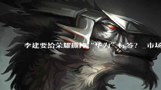 李建要给荣耀撕掉“华为”标签？_市场_品牌_Magic