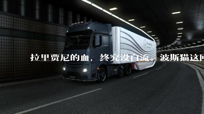 拉里贾尼的血，终究没白流。波斯猫这回是不加掩饰的掀桌子了。_伊朗_导弹_什么