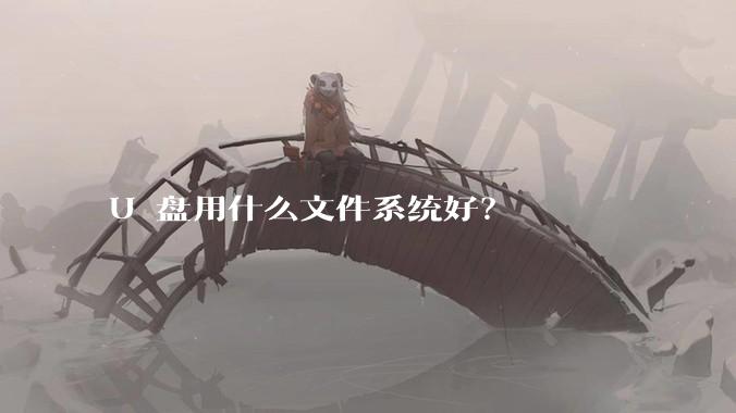 U 盘用什么文件系统好？