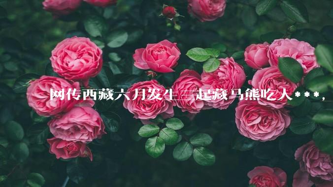 网传西藏六月发生三起藏马熊吃人***，藏马熊真的这么可怕吗？