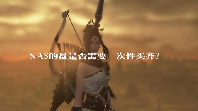 NAS的盘是否需要一次性买齐？