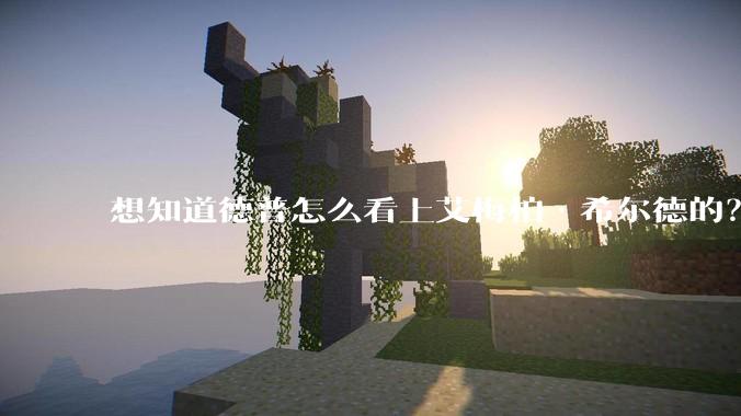 想知道德普怎么看上艾梅柏·希尔德的？