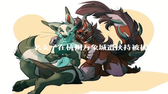 一名女子在杭州万象城遭挟持被捅 20 多刀，隆胸***体救了一命，这反映出哪些公安系统的问题？