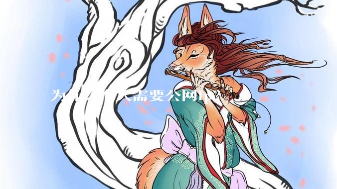 为什么个人需要公网ip？