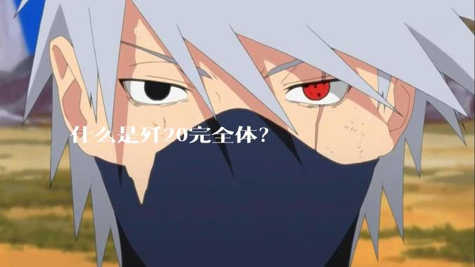 什么是歼20完全体？