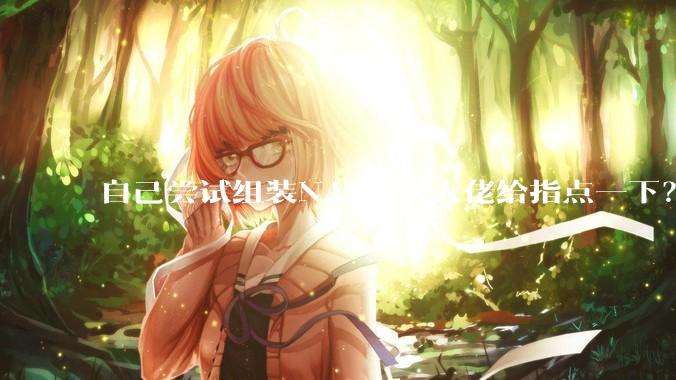 自己尝试组装NAS，求大佬给指点一下？