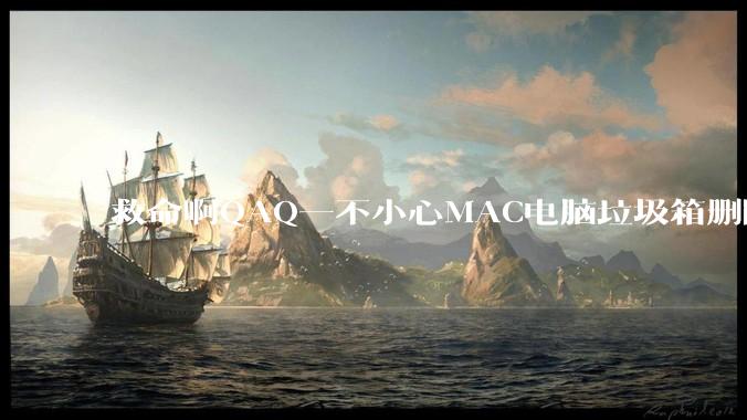 救命啊QAQ一不小心MAC电脑垃圾箱删除了一个文件怎么找回?