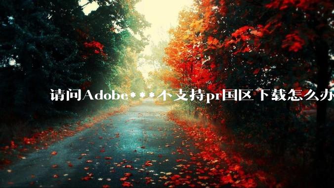 请问Adobe***不支持pr国区下载怎么办？
