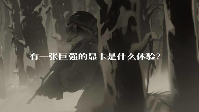 有一张巨强的显卡是什么体验？